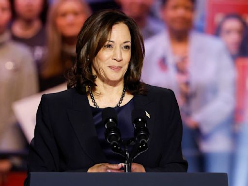 Kamala Harris' coconut tree meme has resurfaced — explaining the viral quote