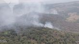 Protección Civil ataca incendio en Tamasopo con helicóptero y brigadistas