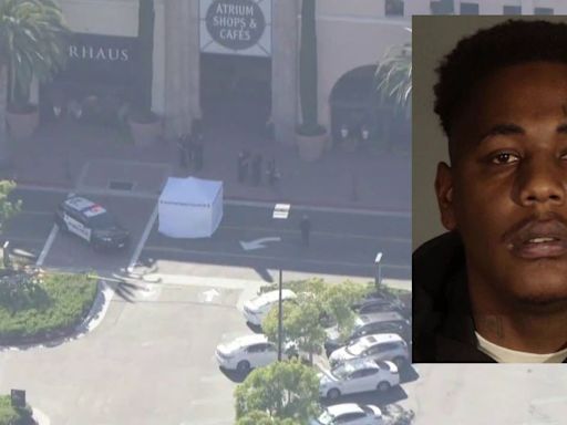 Fashion Island Newport Beach murder suspect was out on probation for 2022 Santa Monica incident