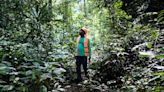 The good foresters: Inside the Gabonese rainforest supplying Amsterdam’s lock gates