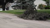 Freeport completes storm debris clean-up
