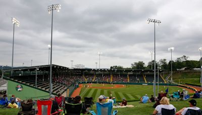 Taylor North Little League 12U team disqualified from state tournament