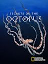 Secrets of the Octopus