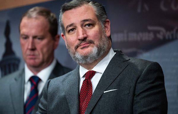 Ted Cruz's leaked donor docs show how money in politics really works