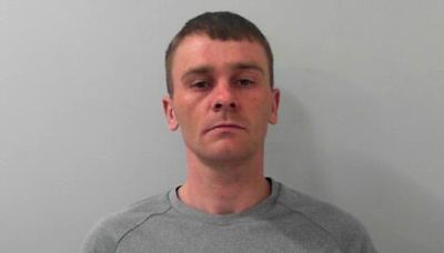 Thief involved in fatal road crash jailed