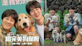 可愛、溫暖、愉快、療癒、感動 《超完美狗保姆》在韓上映大獲好評~柳演錫與車太鉉遇見更多驚喜保姆候選人!