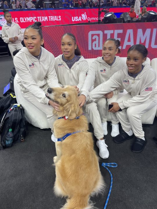 Meet Beacon the therapy dog, calming gymnasts’ nerves at the US Olympic Trials