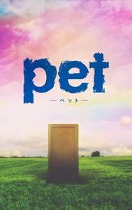 Pet