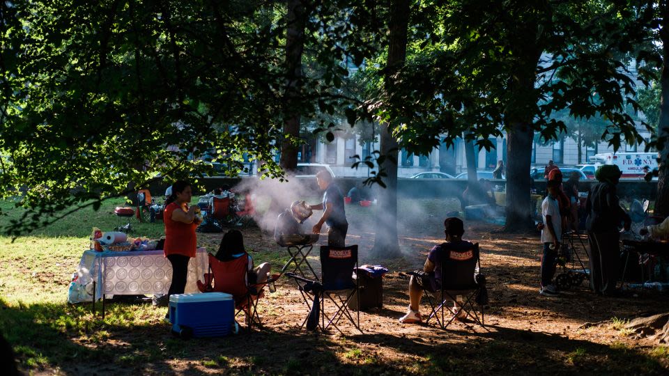 Sizzling out? As peak barbecue season begins, fewer Americans are buying grills