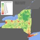 Demographics of New York (state)