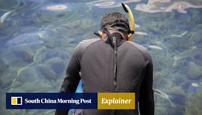 What you should know about snorkelling after fatal incidents in Hong Kong waters