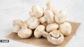 Can you meet your vitamin D requirements just by eating mushrooms?