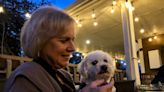 7 dog friendly restaurants in Myrtle Beach SC that will have your pet’s tail wagging