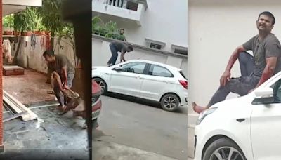 Pitbull dogs attack delivery man in Chhattisgarh’s Raipur, horrifying video goes viral | Today News