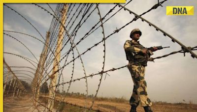 BSF officer, jawan die during patrol along India-Pakistan border in Gujarat, what exactly happened?