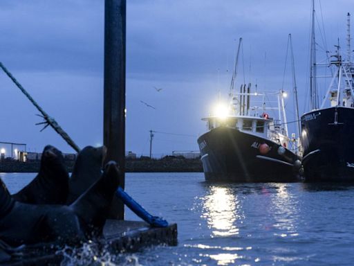 Lo que se sabe del barco hundido en Malvinas con tripulantes españoles