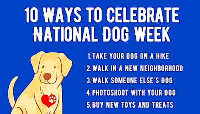 National Dog Week: Learn the History and Fun Ways to Celebrate in 2024