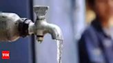 Water in Malwa region’s shallow wells unfit for drinking: Punjab varsity study - Times of India