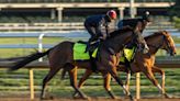 Former Springfield baseball star has a horse Werth-y of Kentucky Derby. What to know