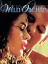 Wild Orchid