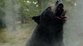 Honey of an interview: I asked a bear for his opinion of 'Cocaine Bear.' Here's his review.