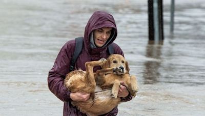 Cork County Council establishes new SPC for coastal, marine, and flood policy issues