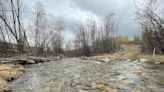 YESAB recommends against proposed placer mine on creek many Yukoners use for drinking water