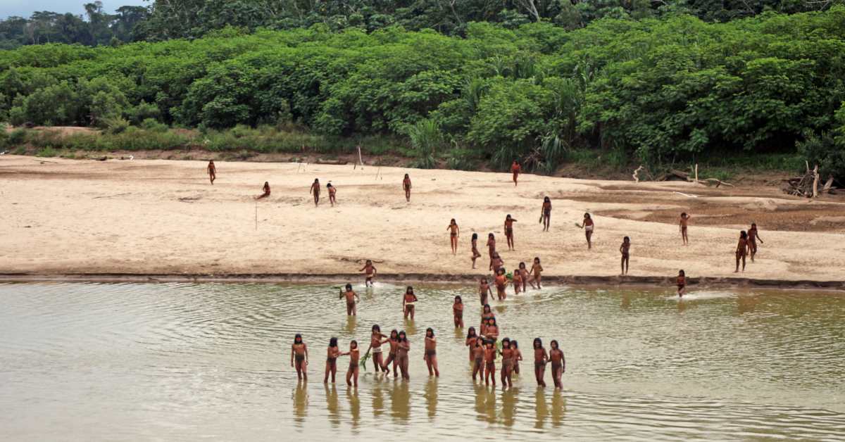 Remarkable Video, Images Show World’s Largest Uncontacted Indigenous Tribe