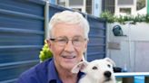Paul O’Grady’s For the Love of Dogs replacement announced by ITV