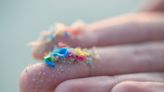 America has a $250 billion problem: Microplastics have invaded our bloodstreams and may increase the risk of heart attack and stroke
