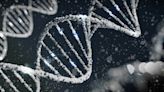 Study reveals genetic basis of sepsis response variability