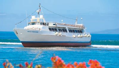 Maui Princess runs aground near Lahaina Thursday night | News, Sports, Jobs - Maui News