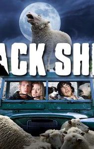 Black Sheep (2006 New Zealand film)