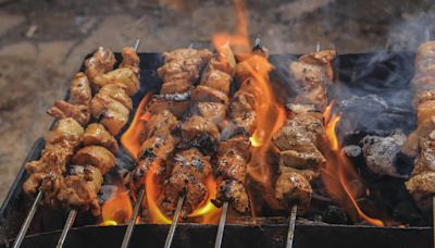 Explained: Why Karnataka Banned Use Of Artificial Colours In Chicken, Fish Kebabs