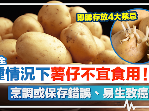 薯仔食用安全丨2種情況下薯仔不宜食用！烹調或保存錯誤、易生致癌物質！即睇薯仔存放4大禁忌