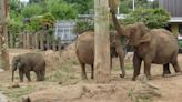 Chester Zoo staff 'deeply shocked and saddened' at sudden death