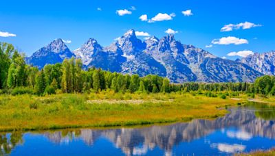 Grizzly bear attacks and seriously injures man in Wyoming’s Grand Teton National Park