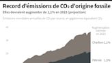 Attention à cette affiche qui minimise le rôle du CO2 dans le réchauffement du climat