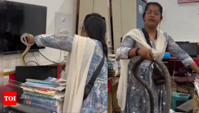 Woman's calm and confident snake rescue wins hearts online | Raipur News - Times of India