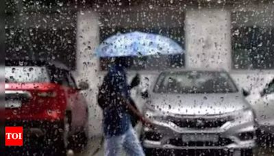 Weather forecast today: Different ways to predict weather without a forecast | - Times of India