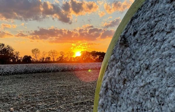 South Carolina governor signs bill to help preserve working agricultural lands