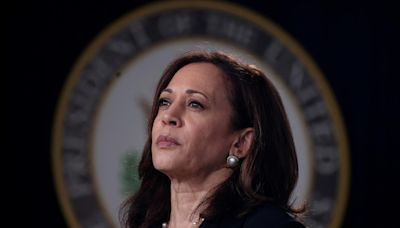 Harris campaign outlines path to the White House, 'The race is more fluid now'