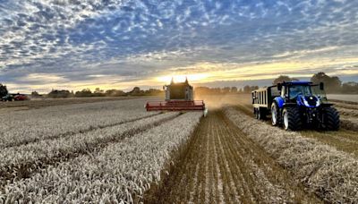 Harvest 2024 FW cover competition photo: Can you snap the winner? - Farmers Weekly