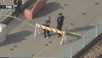 Bee swarm closes Manhattan Beach pier