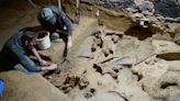 Hundreds of mammoth bones discovered in Austrian wine cellar