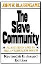 The Slave Community