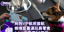 狗狗VIP航班首航 候機室塞滿玩具零食