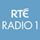 RTÉ Radio 1