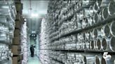 Found in Colorado: A look inside the world's largest ice core repository