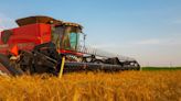 Oklahoma wheat harvest is sweeping up the plains: How this important crop is faring so far